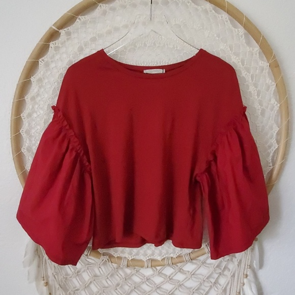 Zara Tops Nwt Zara Ruffle Sleeve Crop Top Poshmark